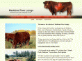 luingcattle.com