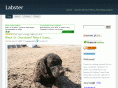 labster.net