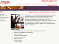 syntechlabs.com