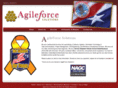 agileforcesolutions.org