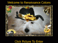 renaissancecotondetulear.com
