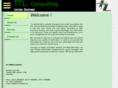 ttl-consulting.com