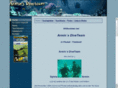 armins-diveteam.de