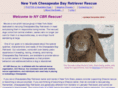 nycbrrescue.org