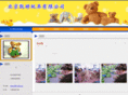 katetoys.com