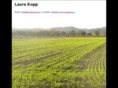 lauracopp.com
