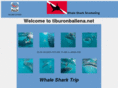 tiburonballena.net