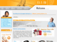 effectivelearningsystems.co.uk