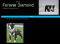 foreverdiamond.biz