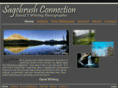 davidwhiting.net
