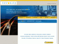 veroxity.com