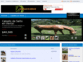 caballosenmexico.com
