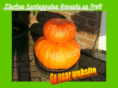 klerken.com