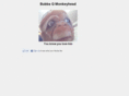 bubbaqmonkeyhead.com