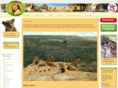 bigcatssanctuary.org