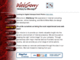 websavvy.com