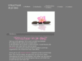 structuurinjedag.com