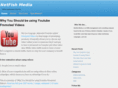 netfishmedia.com