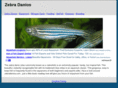 zebradanios.com