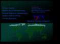t3cs.net