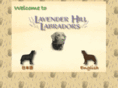 lavenderhill-labs.com