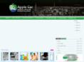 usa-applecar.com