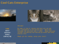coolcatsenterprise.com