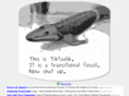transitional-fossil.com