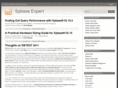 sybase-expert.net
