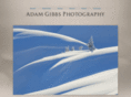 adamgibbs.ca