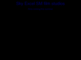 skyexcel.com