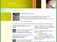 digitalelectronicsolutions.com