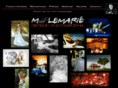 michel-lemarie.fr