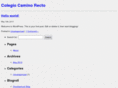 colegiocaminorecto.org