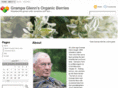 grampaglennsorganicberries.com