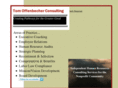 offenbecherconsulting.com