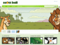 scottball.com