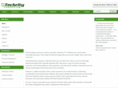 techrityconsulting.com