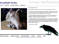 ravynflightstudios.com