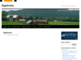 signtronixwisconsin.com