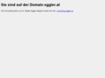 berglaut.com