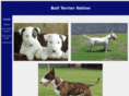 bullterriernation.com