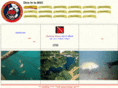 divebsc.com