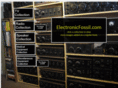 electronicfossil.com
