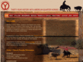 circleyquarterhorses.com