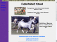belchfordstud.com