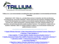 trilliuminc.com
