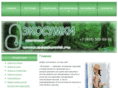 ecosumki.ru
