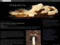 fungiphilia.com