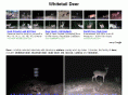 westdeer.com